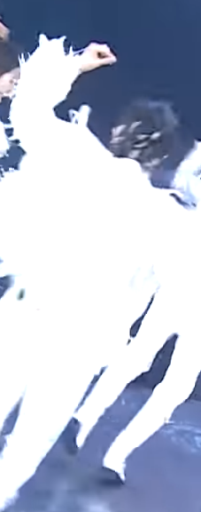 로드 투 킹덤 영상에서 제일 눈에 띄었던 남돌 | 인스티즈