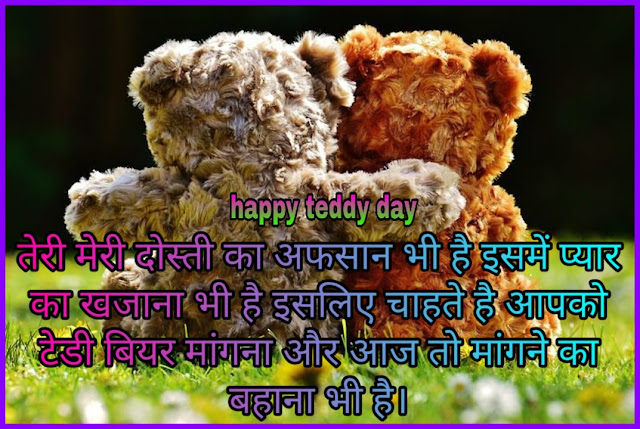 Teddy Day Wishes Shayari For Girlfriend