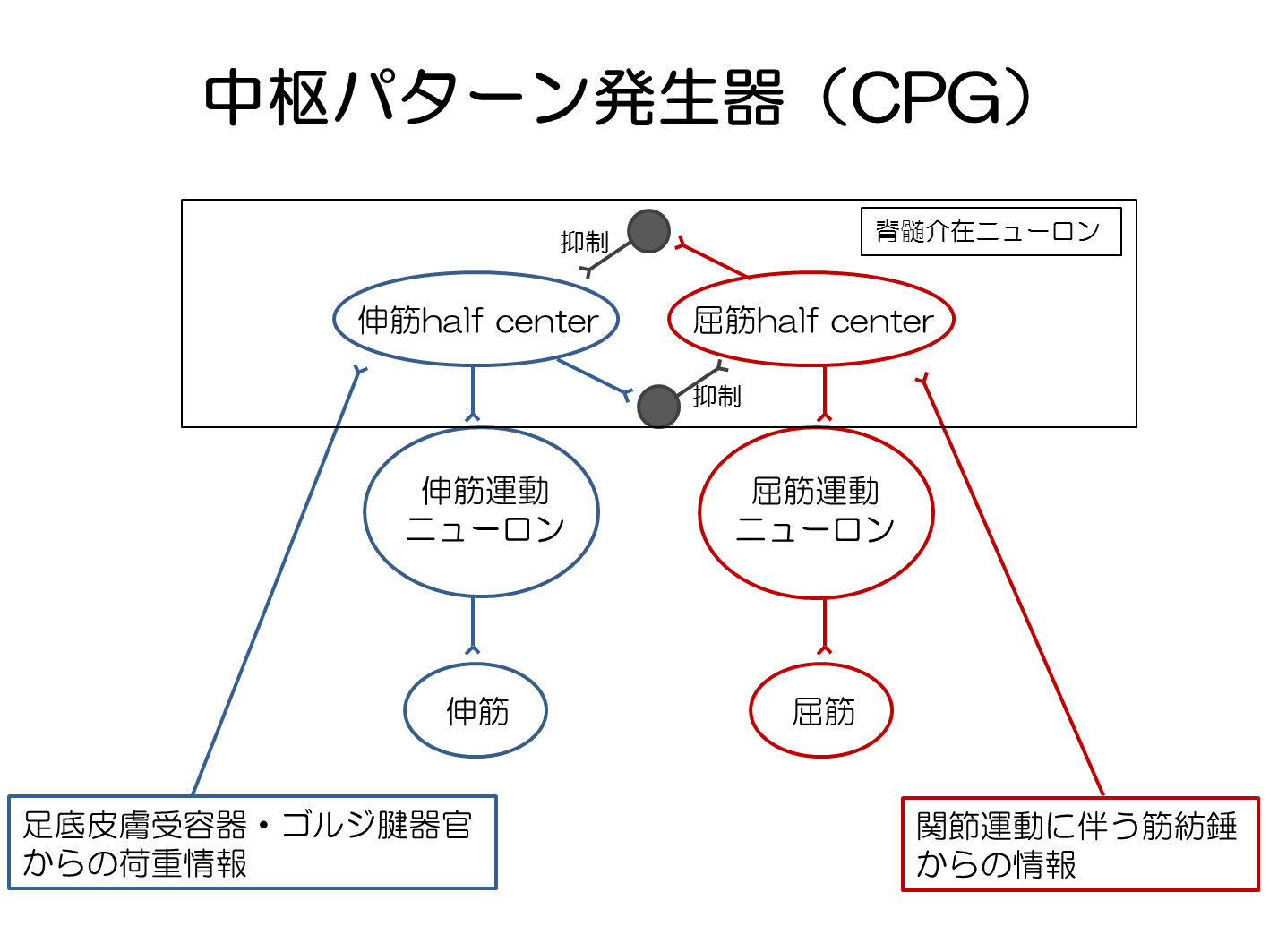 脳卒中リハビリのお勉強