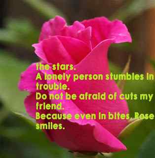 shayari on dosti funny 500, -Friendship ..should not be less. shayari on dosti funny 500, -Friendship ..should not be less.