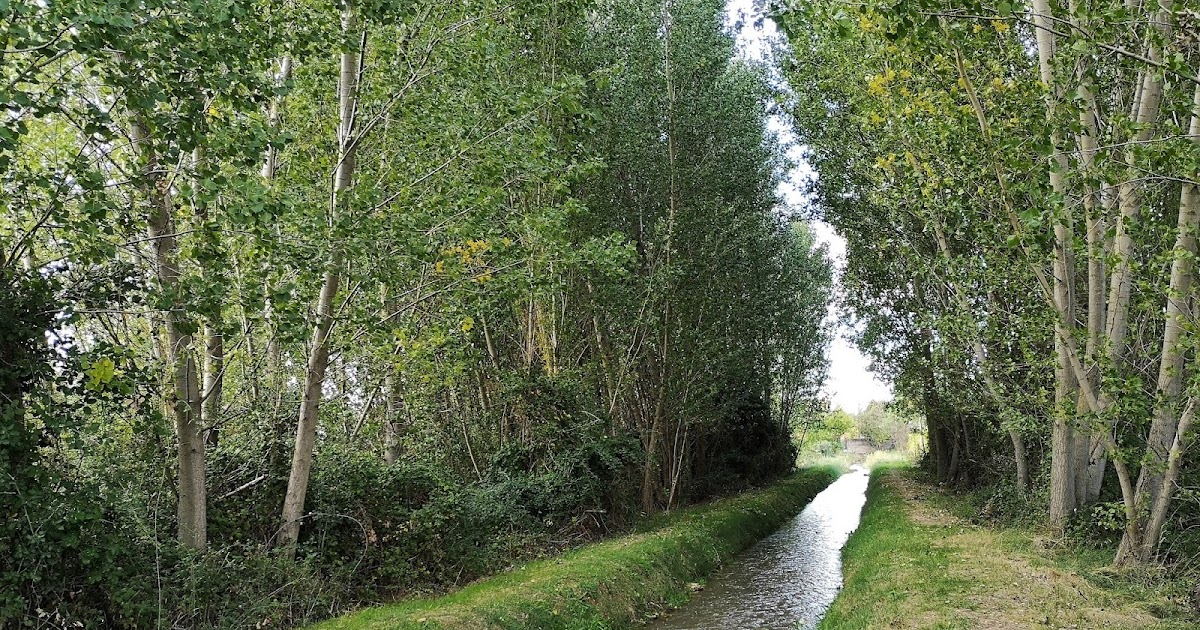 La acequia Catorce años de La Acequia