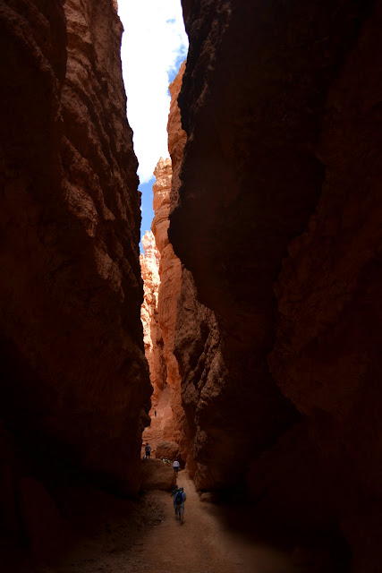 Каньон Брайс, Юта (Bryce Canyon National Park, UT)