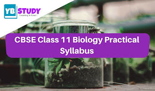 If you are looking for latest CBSE Class 11 Biology Practical Syllabus 2022 then your at right place At the end of this article, you will find useful tips for practical exams.