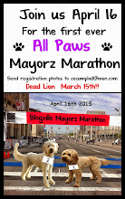 Mayorz Marathon