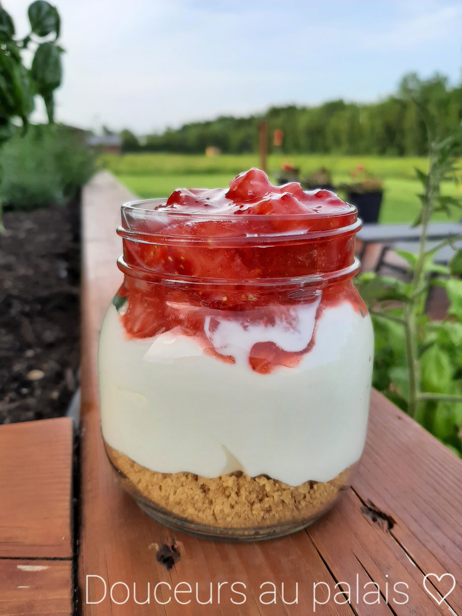 Petits Gateaux Au Fromage Cheesecakes Sans Cuisson Petits Gateaux Au Fromage Cheesecakes Sans Cuisson