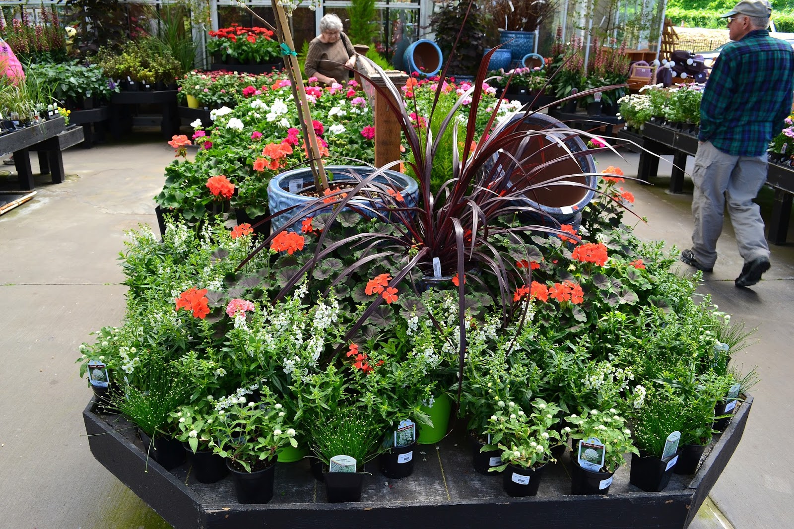 Linda Letters Watson's Greenhouse and Nursery
