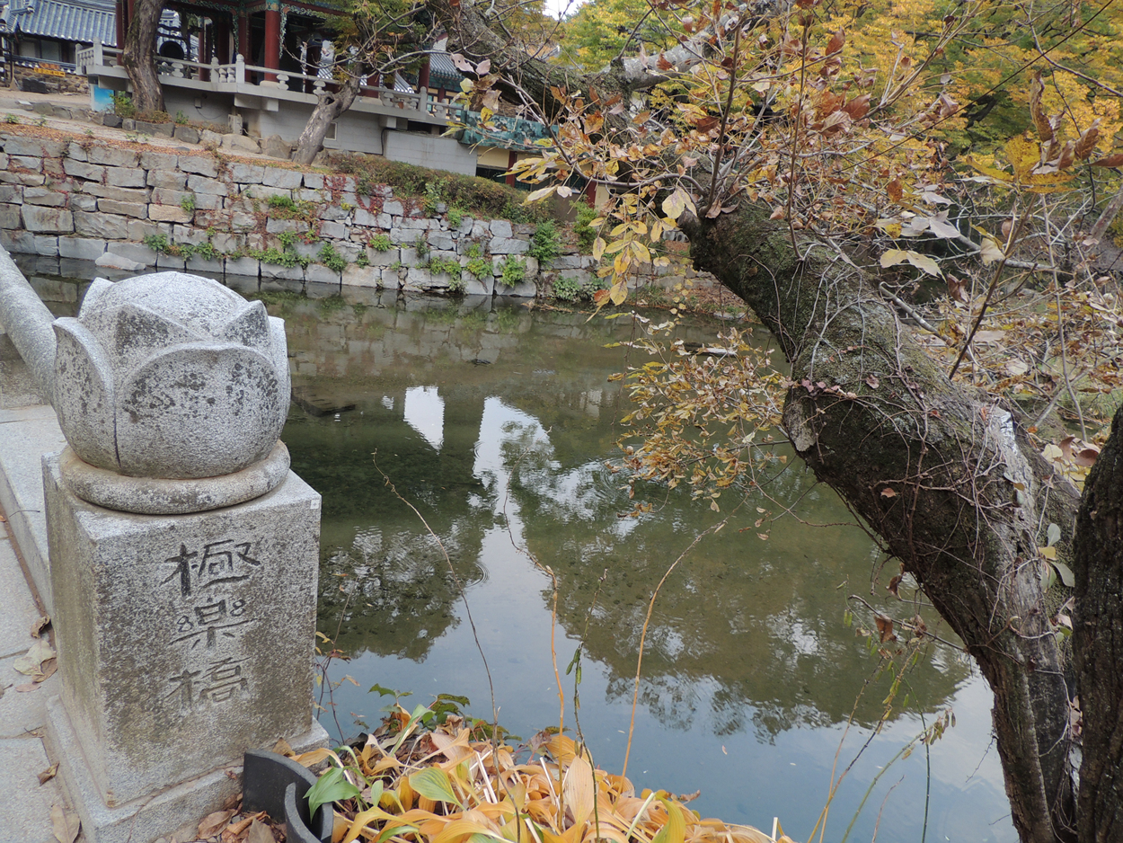 공주 태화산 마곡사 공주 태화산 마곡사