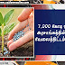 7,000 கோடி ஒதுக்கீடு அரசாங்கத்தின் அதிரடி வேலைத்திட்டம் ஆரம்பம்.