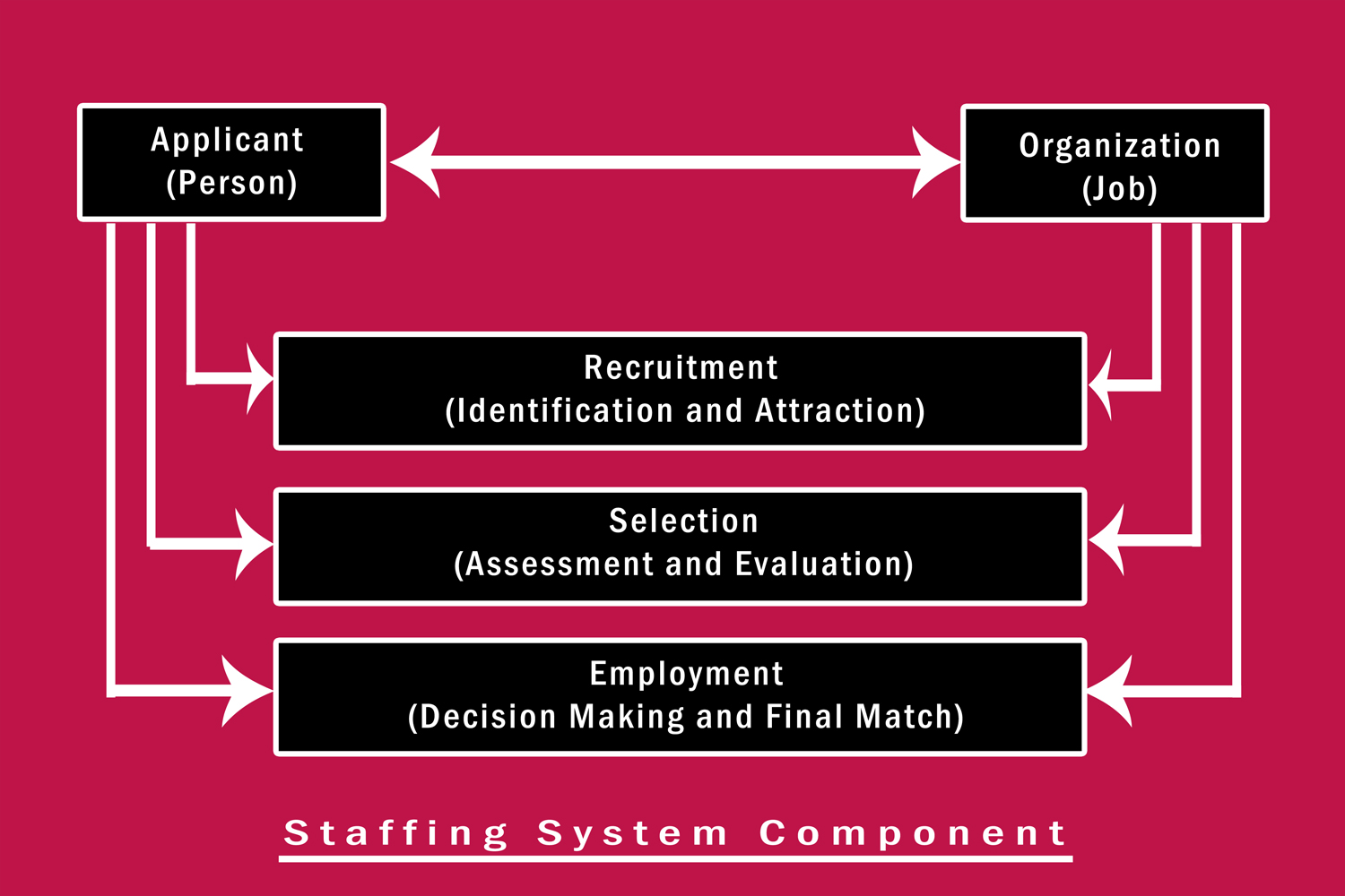 REFLECTION OF HRIS Blog 3 Human Resource Recruiting and Staffing