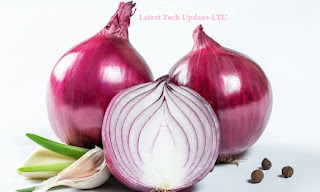  Onion- Home Remedy LTU