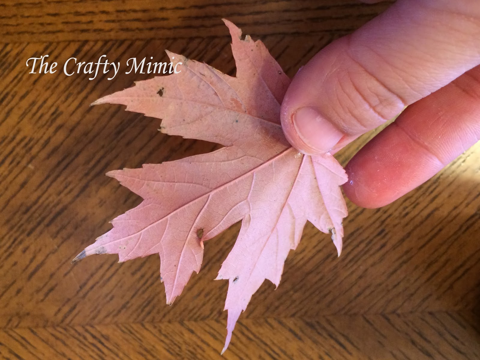 The Crafty Mimic Real Maple Leaf Basket