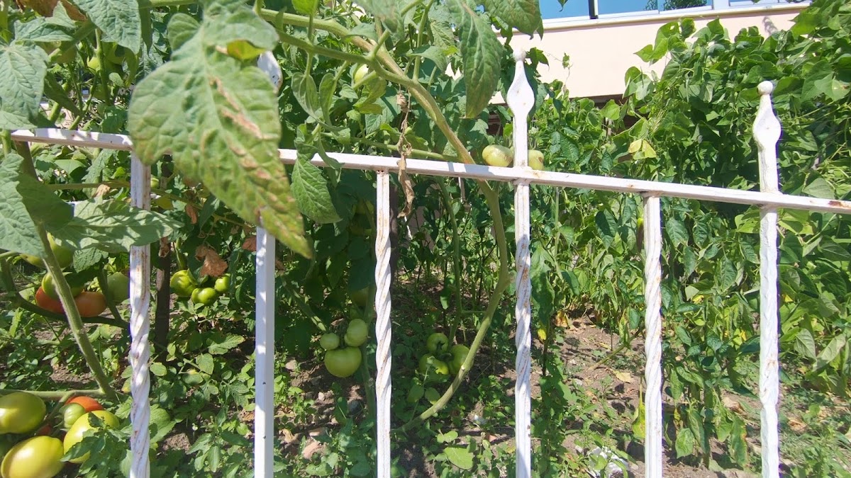 Большое путешествие по Турции автостопом 2019 Большое путешествие по Турции автостопом 2019