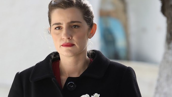 Άγριες Μέλισσες: Καταιγιστικές εξελίξεις στο Διαφάνι 