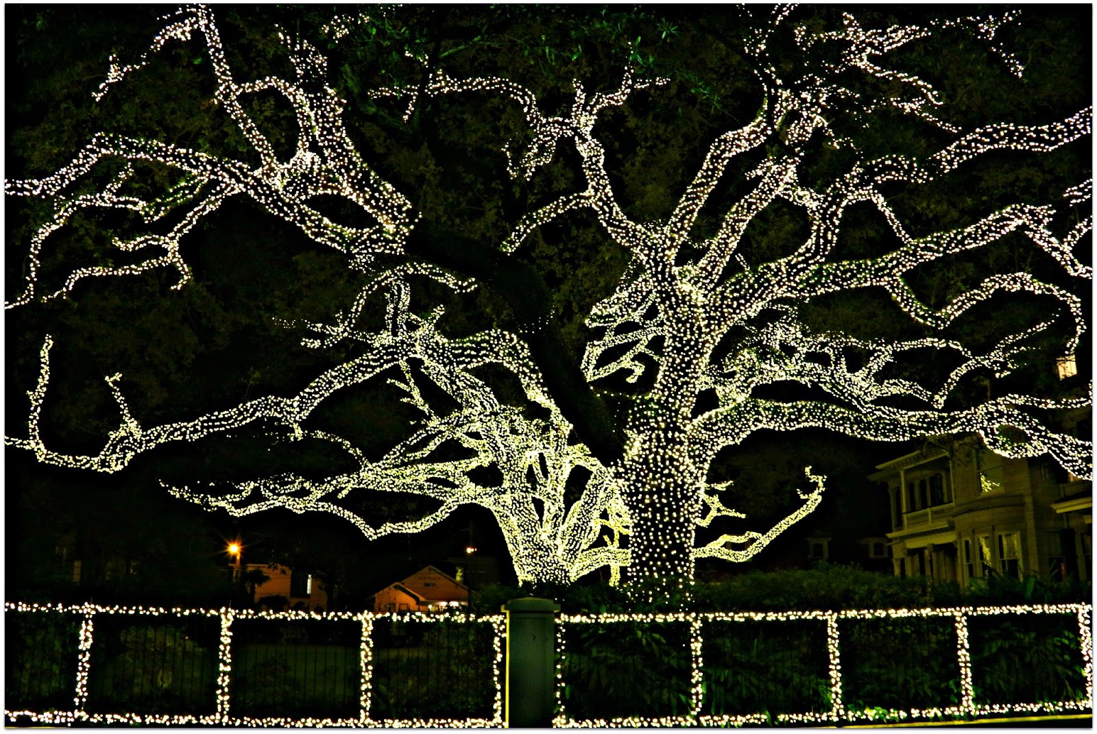Tea Leaves, Travels, and Tapestried Tales A Vampire's Christmas Eve in