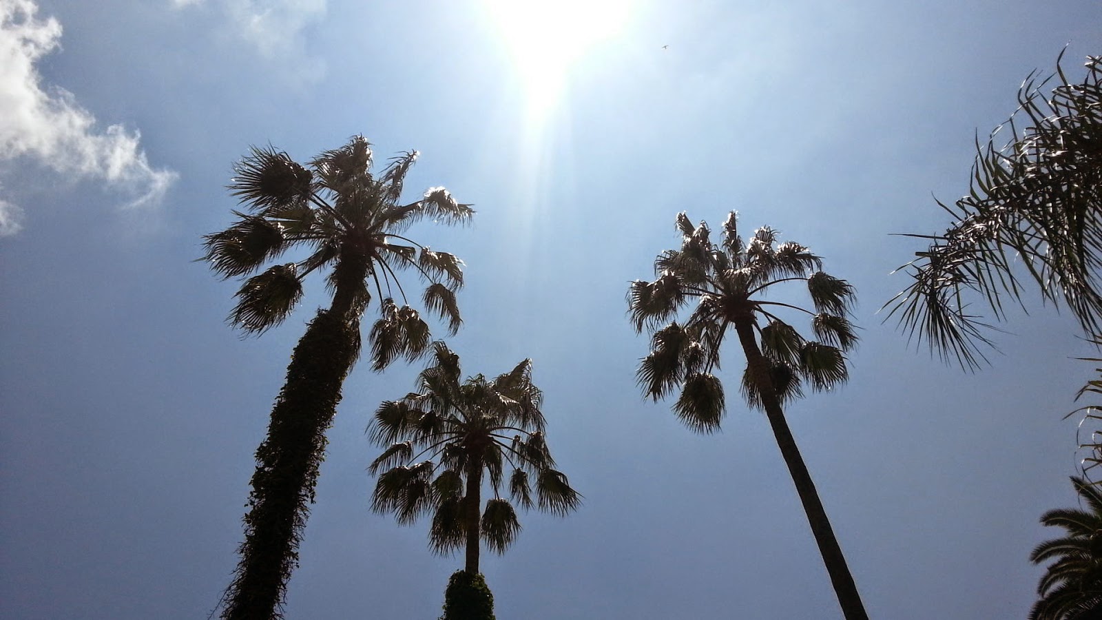 イギリス海軍は奴隷貿易を終わらせるために戦争をした