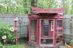 farm chicken coop creative med functional