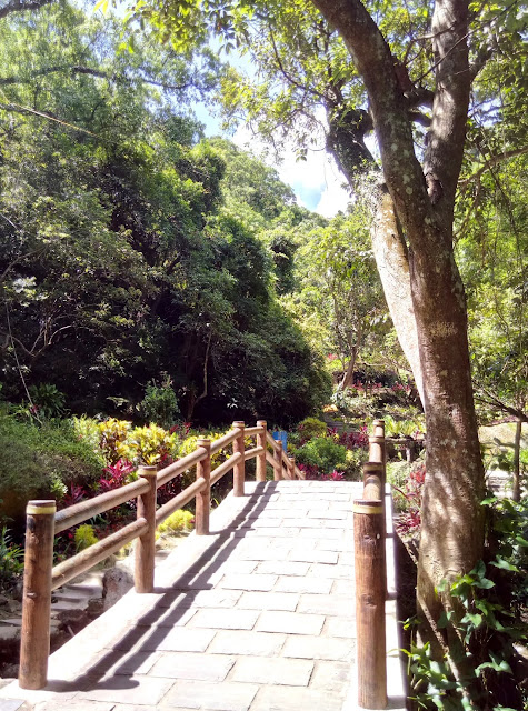 【台北市內湖區 / 旅遊 / 步道健走】 內湖半日健走 大溝溪 圓覺寺步道 瀑布 白石湖吊橋 同心池