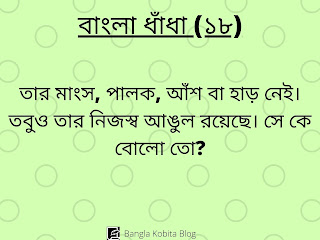 bangla-dhadha-proshno-uttor bangla-dhadha-proshno-uttor