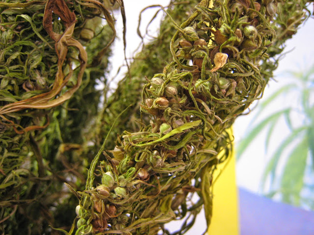 hemp.jpg