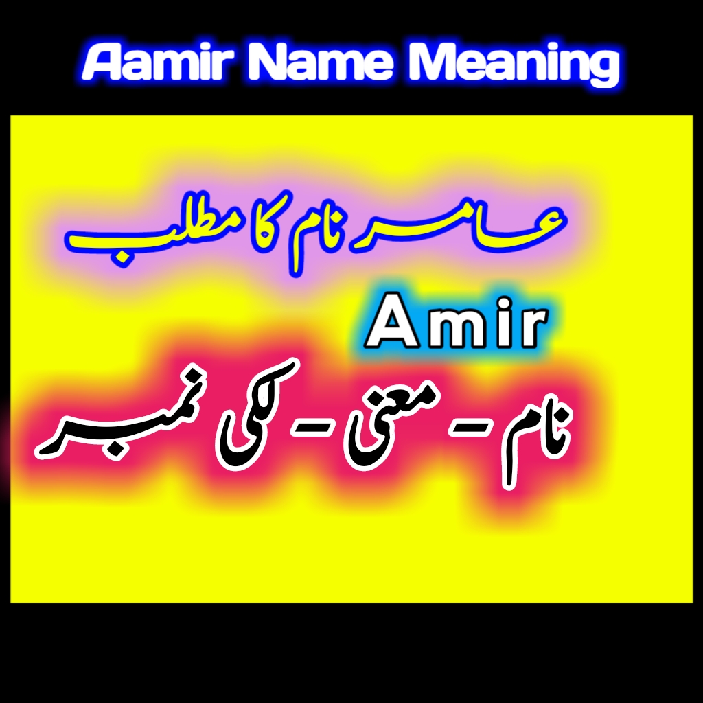 amir-name-meaning-in-urdu-english-tech-livess