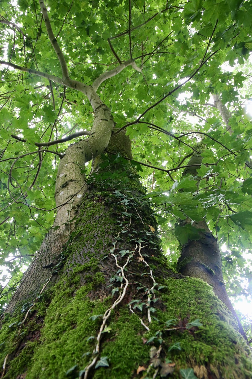 Urlaub An Der Muritz Teil2 Der Nationalpark Und Kulinarische