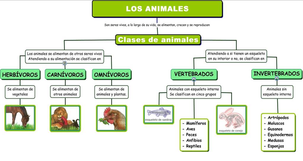 Ludo TIC LOS ANIMALES Y SUS HABITATS