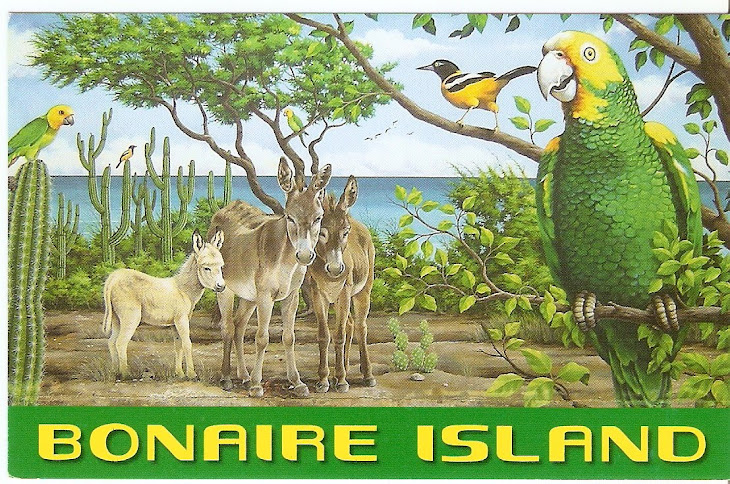 BONAIRE ISLAND