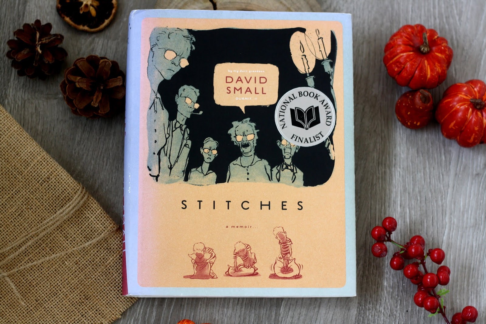 Stitches by David Small Stitches by David Small