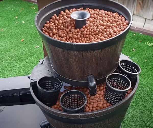 Best Winter Vegetables To Grow in Pond Filter (Aquaponics)