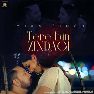 Tere Bin Zindagi Lyrics by Mika Singh
