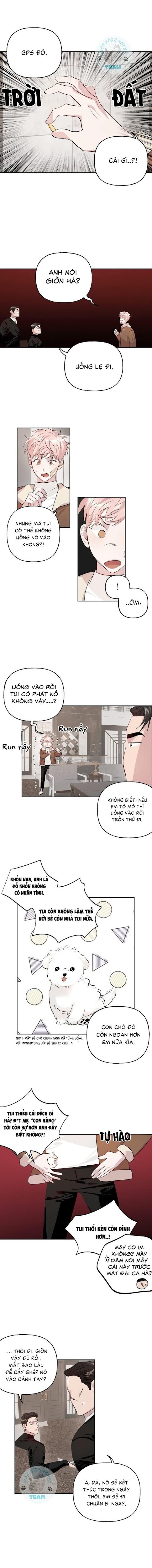 Đọc truyện Assorted Wildness - Chapter 10