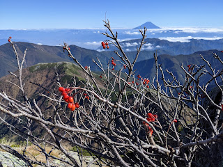 山頂付近2