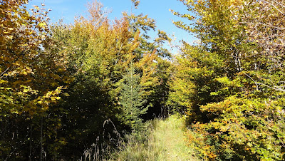 herbst herbst