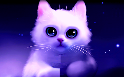 Study Essay on The Cat