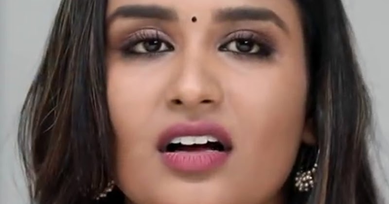 zee tv tamil actress zee tv tamil actress