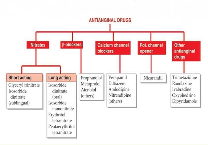 Classification of Cardiovascular Drugs