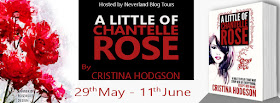 blog-tour, banner, cristina-hodgson
