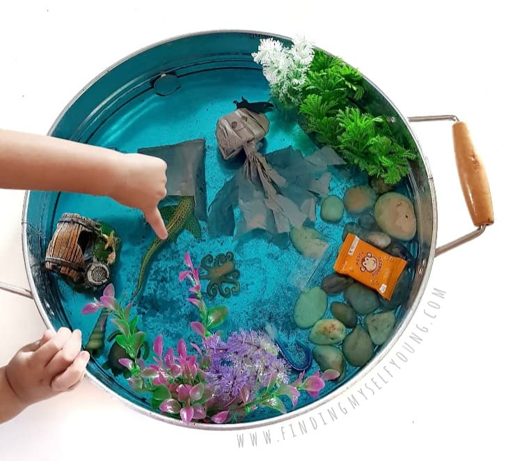 child pointing to shark in play tray