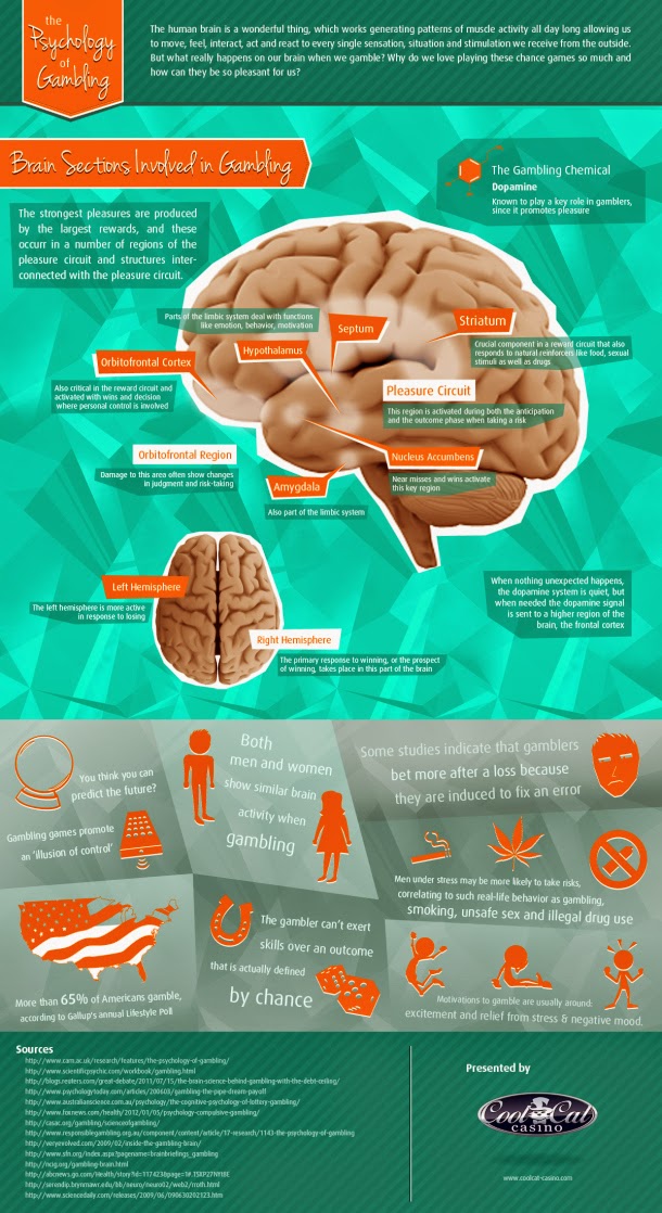 Infographic Psychology of Gambling Connecting Hypnotherapy...