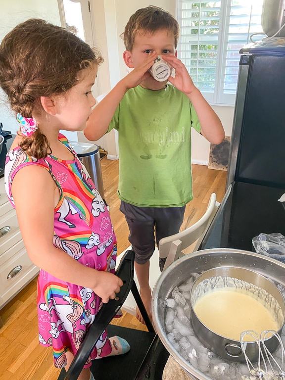 Kids in the Kitchen: Let's Make Ice Cream! – Crowded Earth Kitchen