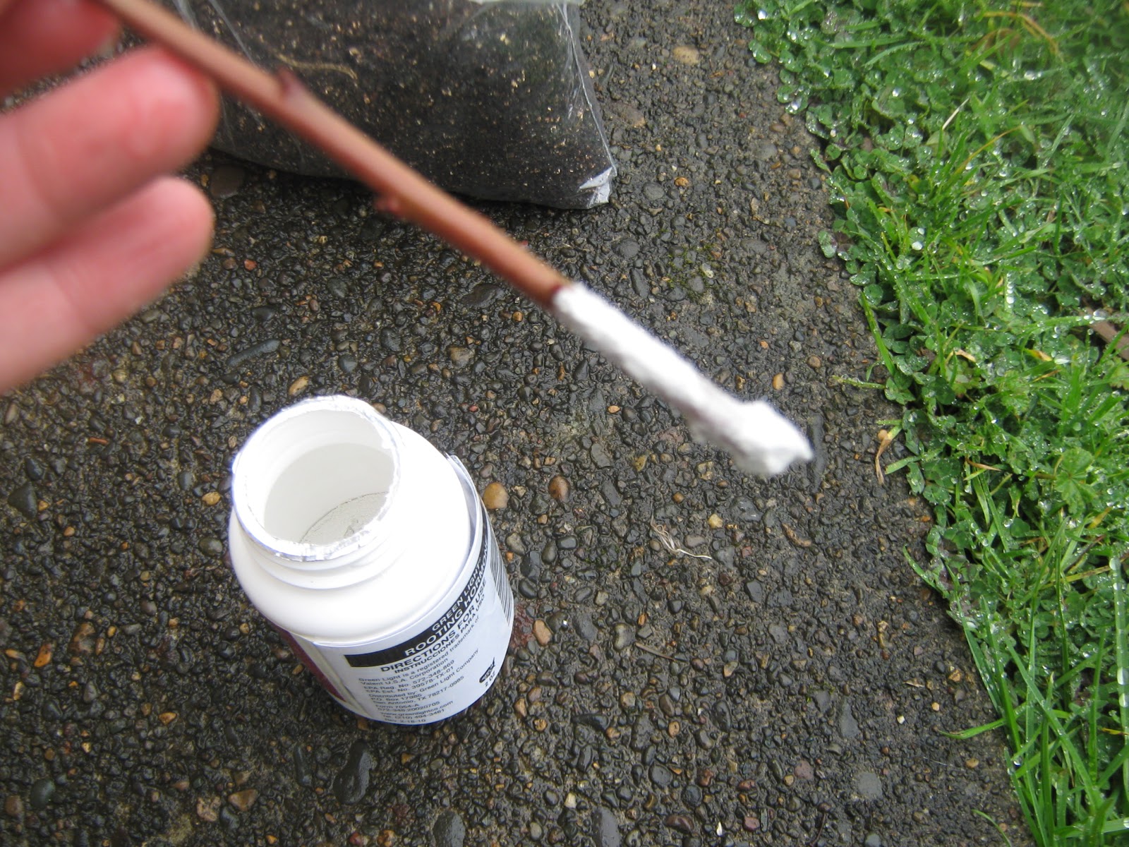 Simply Resourceful: Propagating Plants, Gathering Roots, and Digging Up ...