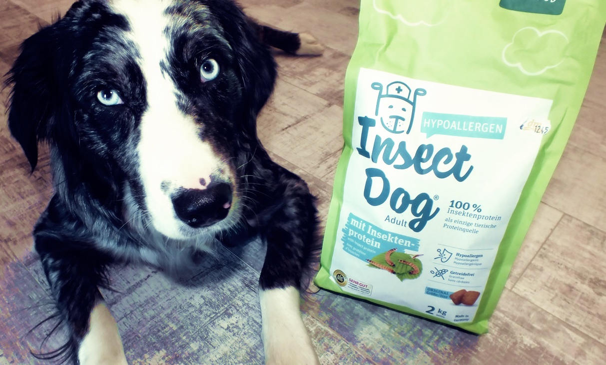 Sparfuchs Pee Produkttester aus Leidenschaft Green Petfood Insect