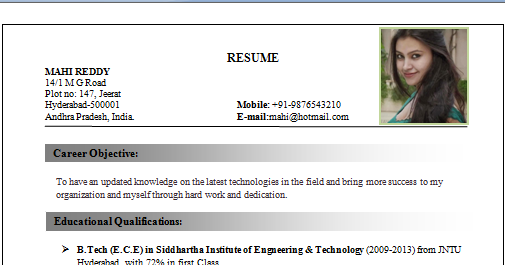 text resume format