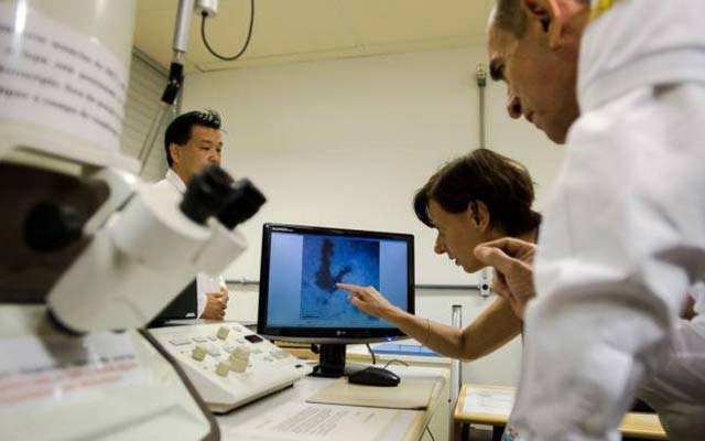 Governo federal libera R$ 250 milhões para bolsas do CNPq