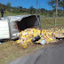 CAMINHÃO QUE TRANSPORTAVA CERVEJA TOMBA NA BR 020