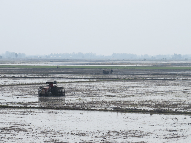 làm lúa nông dược việt nam
