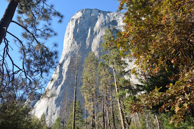 Yosemite National Park, un templo de la naturaleza - Viaje con tienda de campaña por el Oeste Americano (11)