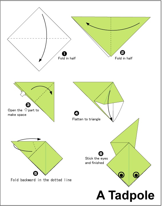 ටැඩ්පෝල්  හදමු (Origami Tadpole) - Your Choice Way