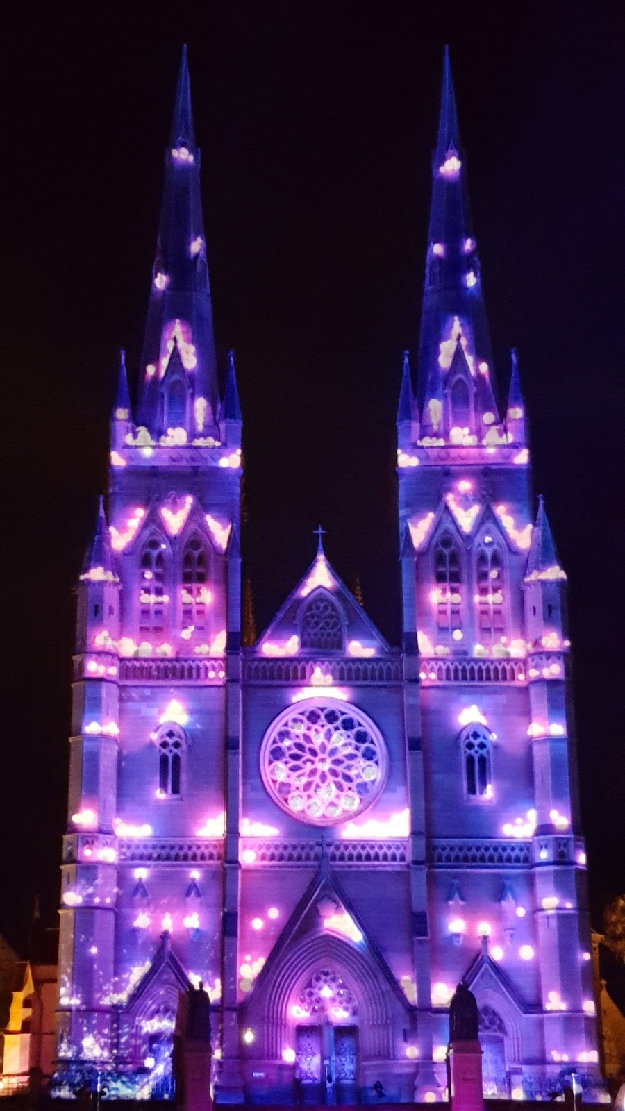 Sydney City and Suburbs St Mary's Cathedral, The Lights of Christmas