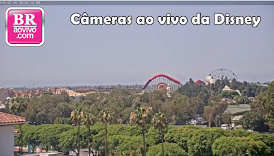 câmeras ao vivo da disney